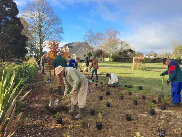 Extending the top planting 3. Cambridge Tree Trust